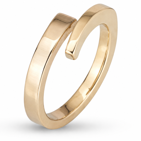  Smeedring bicolor