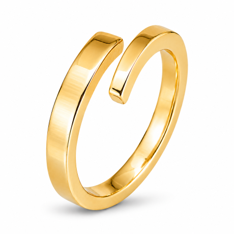  Smeedring bicolor
