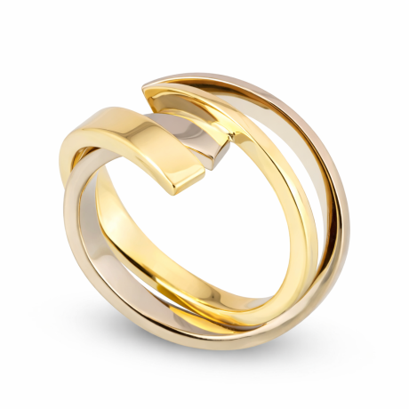  Dubbele smeedring bicolor