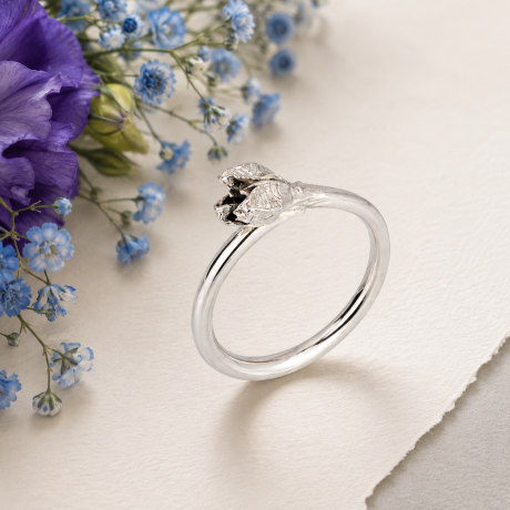 koningskaars ring
