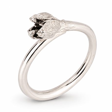  koningskaars ring