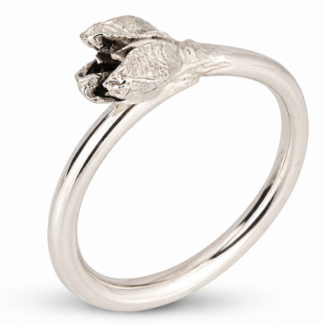  koningskaars ring