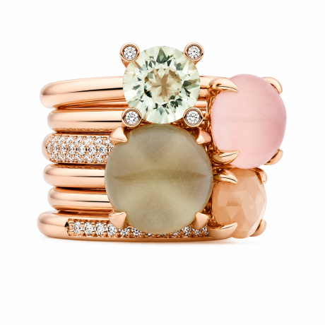Bron ring Phlox met lemonkwarts