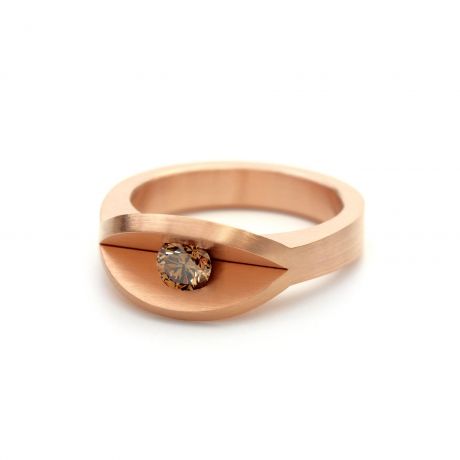 Ring Aris 4