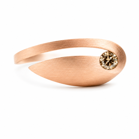  Ring Var 2