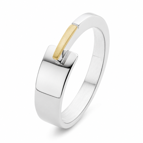  Smeedring plat staand met goud