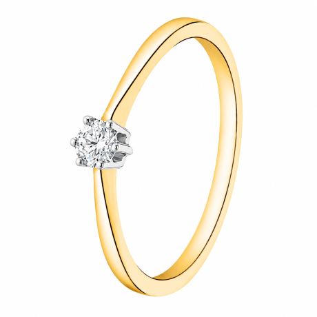  Solitair ring met 6 poot chaton