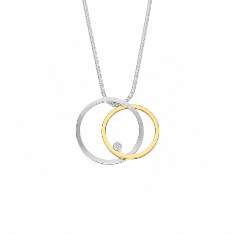  Zilver met gouden hanger cirkels
