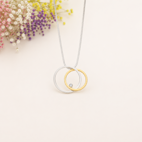 Zilver met gouden hanger cirkels