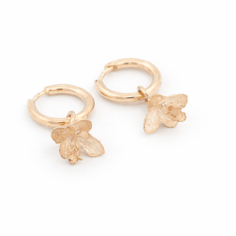  Ooringen met Thuja bloempjes