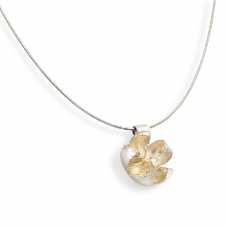  Zilveren open bol zaad hanger