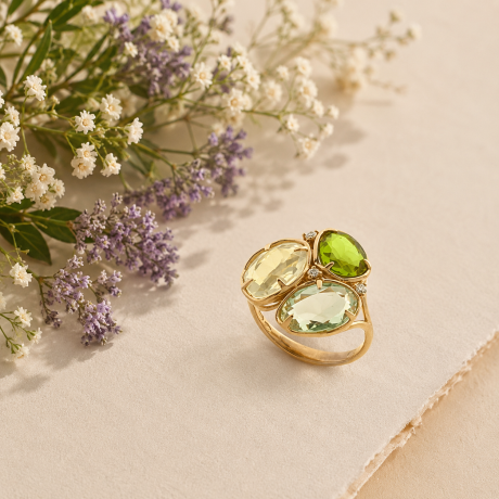 Peroni & Parise ring met stenen mix