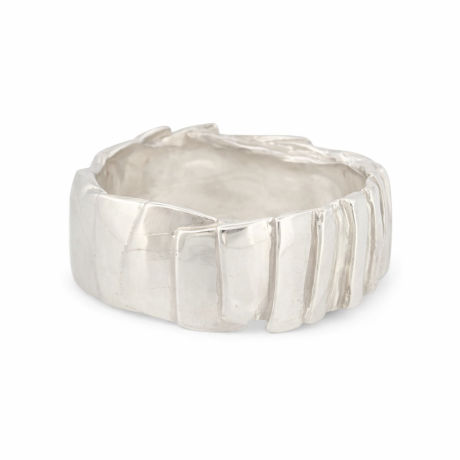  Plaatjes ring