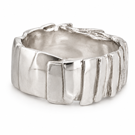 Plaatjes ring