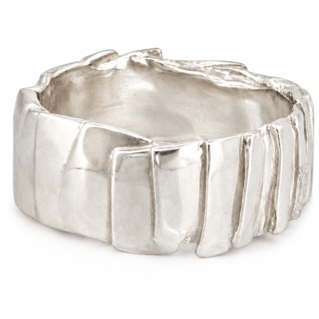  Plaatjes ring