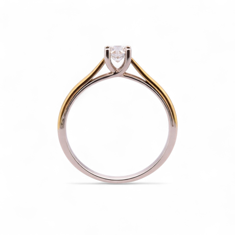 Solitair bicolor dubbele band