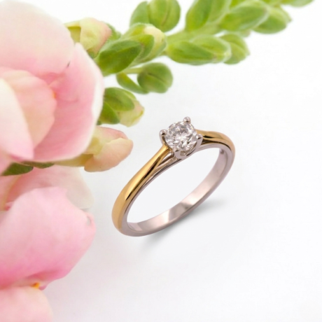 Solitair bicolor dubbele band